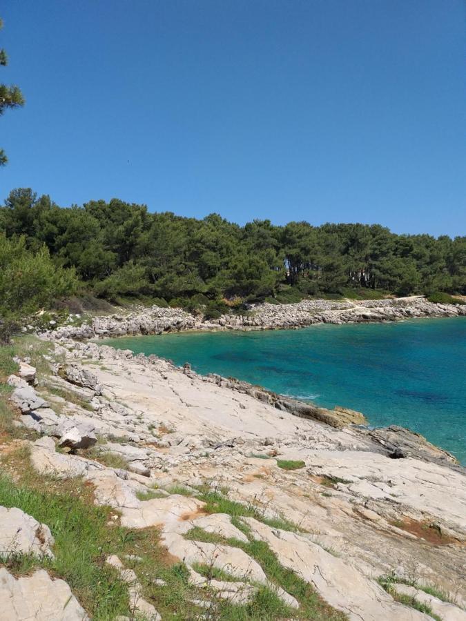 Vlasta Mali Lošinj Exterior foto